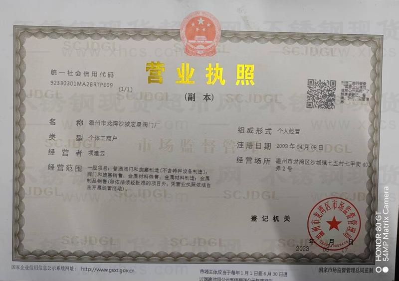 溫州市龍灣沙城宏星閥門廠營業執照